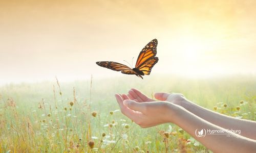 Zwei geöffnete Hände halten sanft einen Schmetterling – Symbol für Transformation, Heilung und die Leichtigkeit des bewussten Seins.